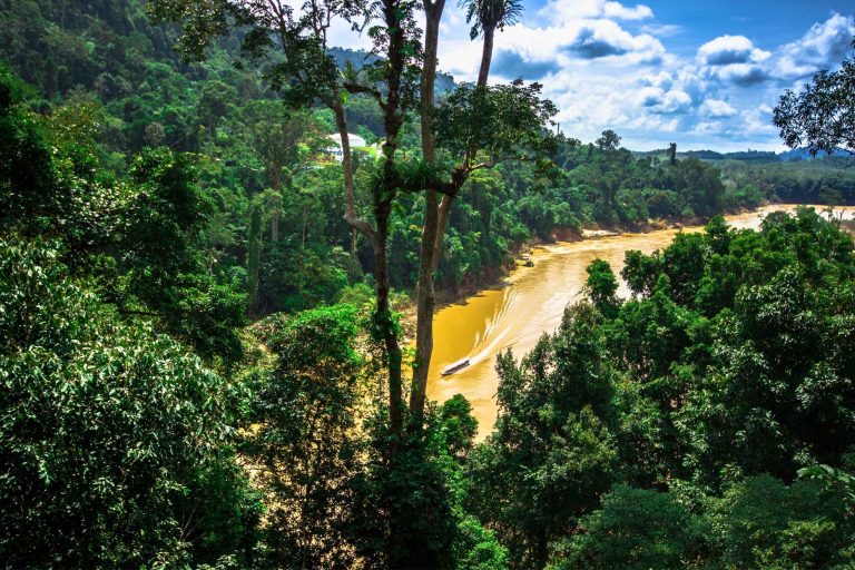 Helemaal goed, Martijn — dit past perfect bij je reeks over Taman Negara. Ik zet je vier elementen weer in dezelfde stijl als al je eerdere beelden. Alt-tekst Boot vaart over een brede rivier langs het dichte regenwoud van Taman Negara, omringd door groene jungle en heuvels